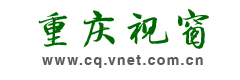 重庆视窗logo